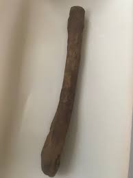 Hadrosaur Fibula – Pierson Fossil Company LLC