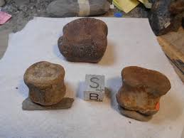 Dinosaur Bones - Fossil ID - The Fossil Forum