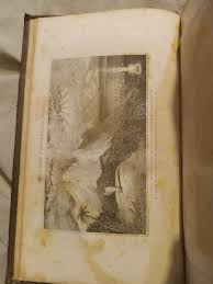 Dissertations On The Prophecies Thomas Newton 1832 | eBay