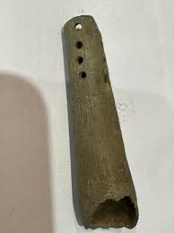 Found this Saturday can you please help me with identifying ...