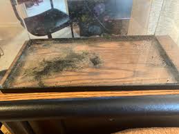 should I clean out my old soil or just add new substrate : r/Aquariums