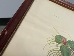 Vintage Audubon IBFCO Craft Print 25" Framed Ruffled Grouse PLATE XIL Lithograph | eBay