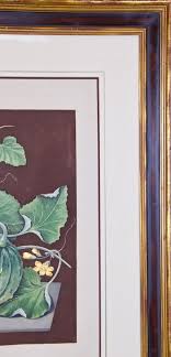 George Brookshaw - "Amicua Melon" Hand Finished Color Engraving by George Brookshaw For Sale at 1stDibs | george melons, color street melon dramatic, melon dramatic color street
