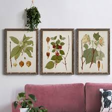 August Grove® Antique Leaves I - 3 Piece Picture Frame ...