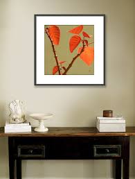 Copper Plant, 16"x16", Framed Fine Art Print | eBay
