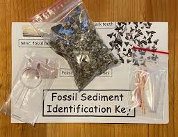 Geology and the Great Sea Creatures Kit - Northwest Treasures