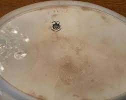Antique Oval Ironstone Platter, 18.5 Inch White Ironstone ...