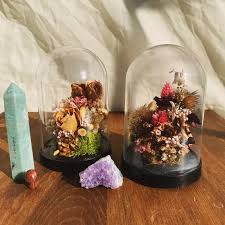 Eternal Flower Cloche