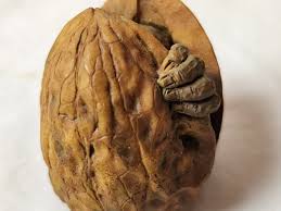 Bernard Pearson Clare Craft Walnut Man Carved Figure | eBay