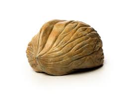 Walnut v Brain (Large Nut and Small Brain sculpture) – ArtParkS