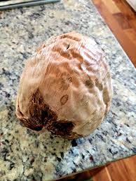 Coconuts in Minnesota: Explaining the Unlikely Find