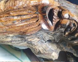 Mysterious Dutch Driftwood Wood Spirit Carving - Etsy