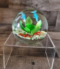 Dynasty Gallery Heirloom Collection Dolphin Starfish Art ...