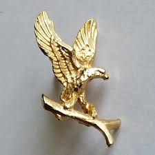 Vintage | Jewelry | Vintage Eagle Pin Gold Tone Metal Lapel ...