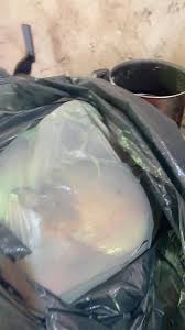 Preparando um Assado com Peixe Fresco e Amigos | TikTok