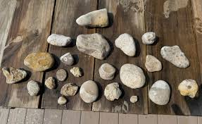 What type of rock is found in Harbor Springs MI?