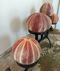 Sea Urchin Table Lamp: Coastal Branch & Birds Sculpture ...
