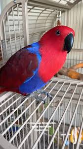 Echo's face while getting her manicure: 👁️V ...