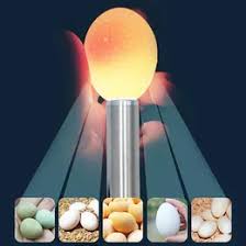 Rechargeable LED Egg Candler Tester - High Intensity, Cool Light for All Egg Types from Dhgate Other Pet Supplies - price 9.25