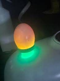 Does anyone know what this egg is many thanks #egg #incubating #FYP : r/birds