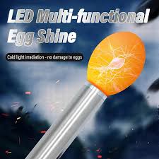 10 Pcs Incubator Eggtester Egg Candling Lamp Led Super Cold Equipment Incubation Tool Pigeon Accessories for Eggs Flashlight - AliExpress