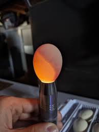 14th Day of Incubation - Should the dark areas inside the egg be able to move around freely or not? | BackYard Chickens - Learn How to Raise Chickens