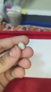 Chrysoberyl Cat's Eye | Ceylon Cats Eye | 9.25 ratti | With ...