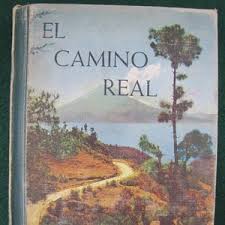 An Introduction to Birds // 1950 Hardback // Children's Picture Natural History Study // Science, Identification, Ornithology, 100 Birds - Etsy