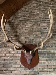 Vintage Stunning Extra-large Elk Rack Mount - Etsy Israel
