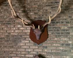 HUGE Real Elk Skull Antler SET, Shed Antlers, Matching Pair, European Mount, Home Decor, Wall Decor, Taxidermy, Crafts, Rustic Deer Antler - Etsy UK