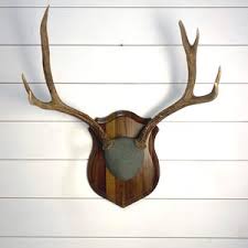 Walnut Plaque for Elk Mount - Etsy