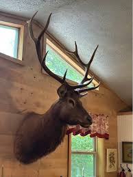 Moving…Won't fit in our new home… call 479 305 2016 | Facebook