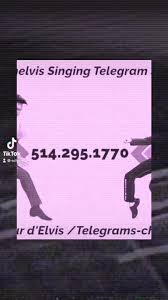 DanH7 (@schmelvis) | TikTok