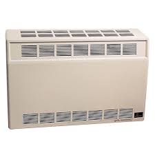 Empire Direct Vent Gas Space Heater 35,000 Btu Wall Hung ...