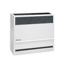 Williams Direct-Vent Gravity Wall Heater 22,000 BTUH, 67 ...
