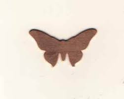 V-66 Butterfly – Thompson Enamel