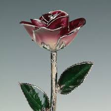 2-tone Burgundy Rose - Original Platinum Dipped Rose - Real ...