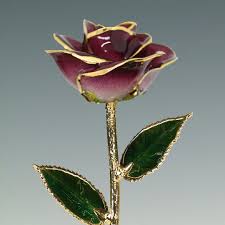 2-tone Burgundy Rose - Original 24k Gold Dipped Rose - Real ...