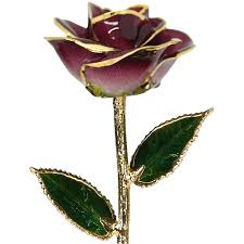 2-Tone Burgundy Rose in Gold (February) - Living Gold Co.