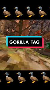 Duck Floaty Gorilla Tag | TikTok