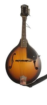 Washburn M1SDLBA Americana Model Mandolin w/Solid Sitka Spruce Top, Maple Back a | eBay