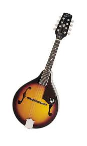 Epiphone Bluegrass MM-20 Mandolin for sale online | eBay