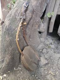 10-string Original Double Zeze Plucked Bowl Yoke Lute ...