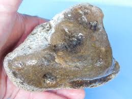 Huge 1 POUND 11.2 Oz Montana Moss Agate - Dendrites ...
