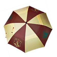 Iota Phi Theta Large Vented Umbrella - The College Crib