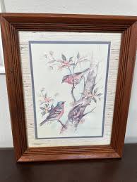 Vintage Framed Bird Print, Finch Wall Decor, Paul Whitney ...