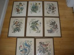 Arthur Singer 1957 Framed Bird Prints (YOU CHOOSE) | eBay
