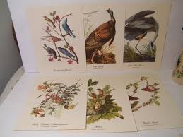 18 Audobon Best Loved Birds Prints in Full Color, Vintage ...