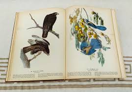 The Birds of America by John James Audubon - 1944 Macmillan ...