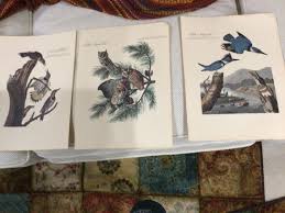 3 Vintage Prints AUDUBON Owl. Kingfisher" Milwaukee Public ...